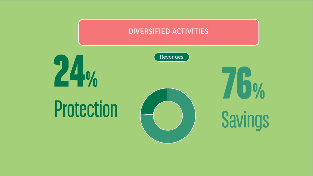 Leader worldwide in creditor insurance. Diversified activites and distribution. 76% savings and 24% protection 