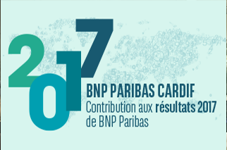 2017 annual results