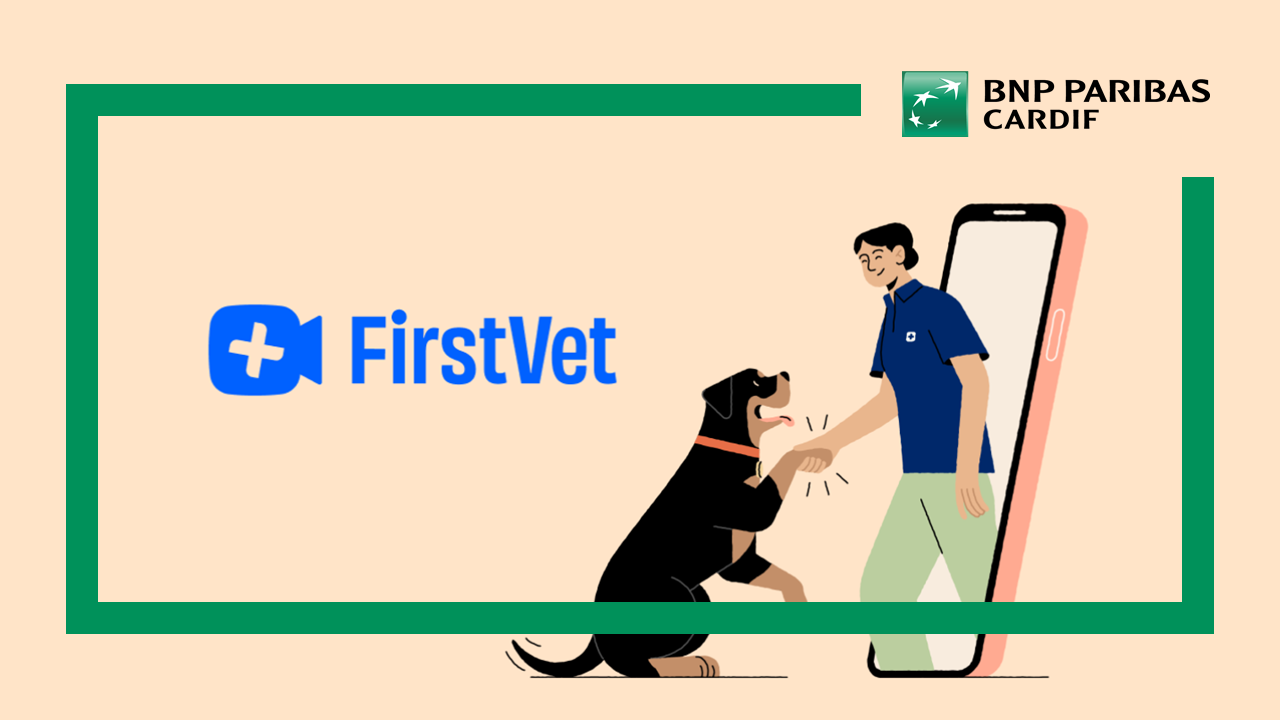 FIRSTVET