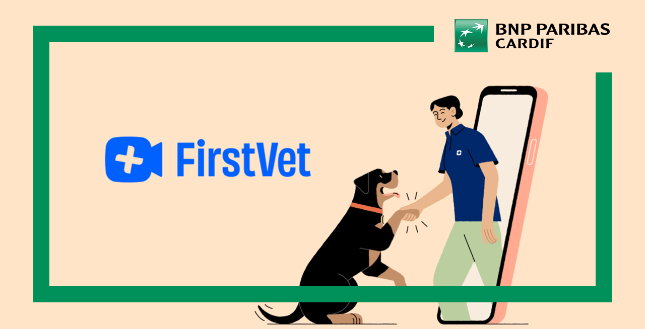 FIRSTVET