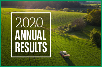 2020 Annual results
